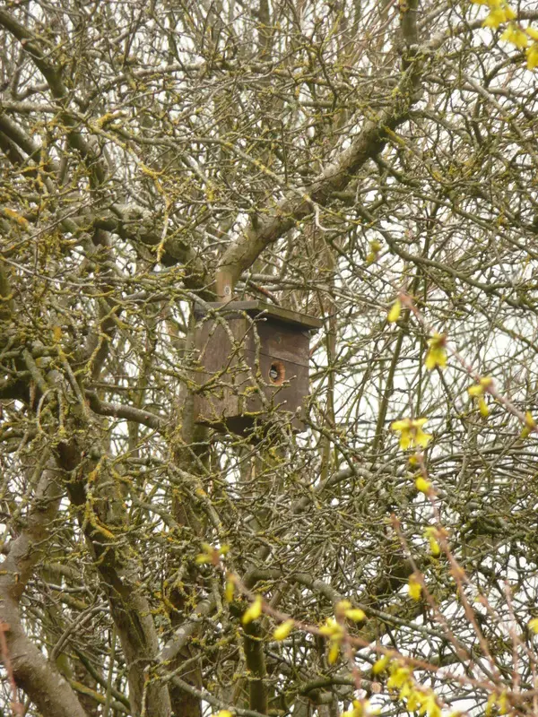 Brook Lodge Farm