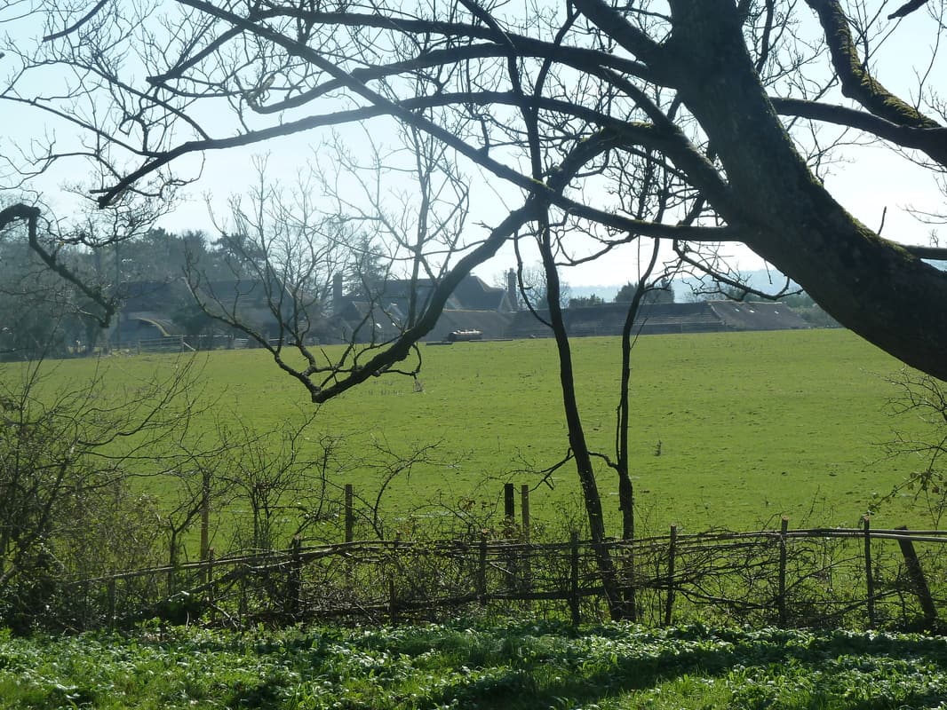 Brook Lodge Farm