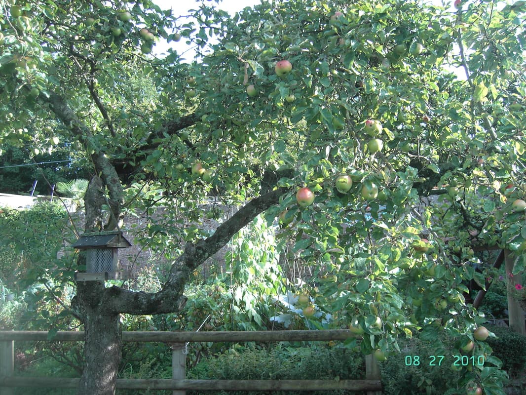 Brook Lodge Farm